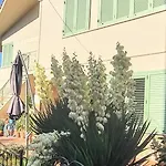 Apartment Casa Baldi